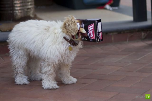 ����� � �������� ��������, ����� 75 (51 ����)