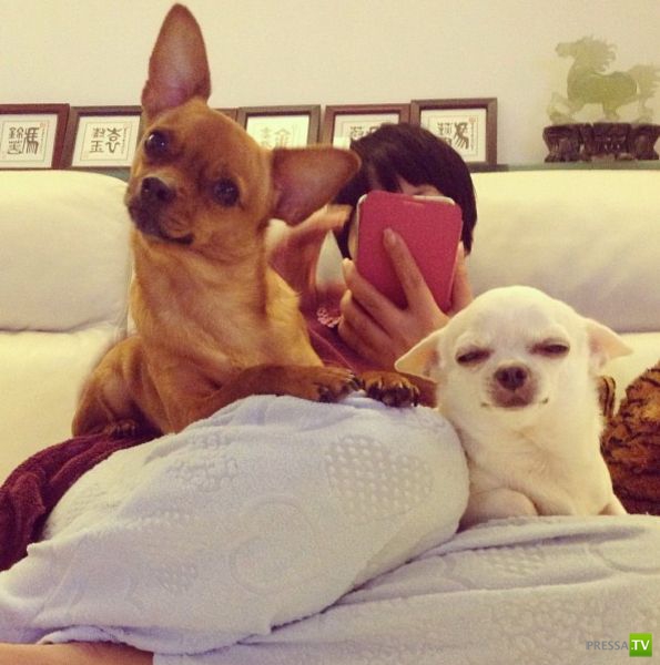 ����� � �������� ��������, ����� 75 (51 ����)