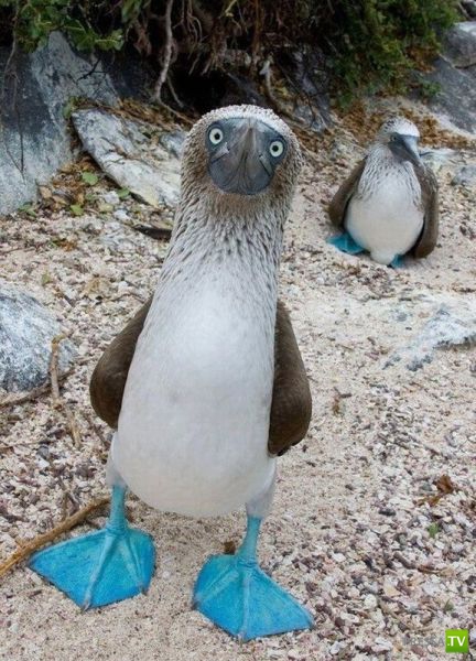 ����� � �������� ��������, ����� 75 (51 ����)