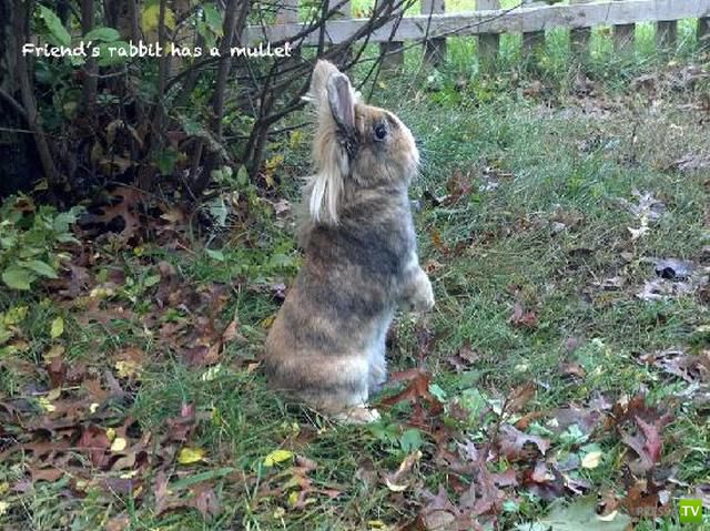 ����� � �������� ��������, ����� 75 (51 ����)