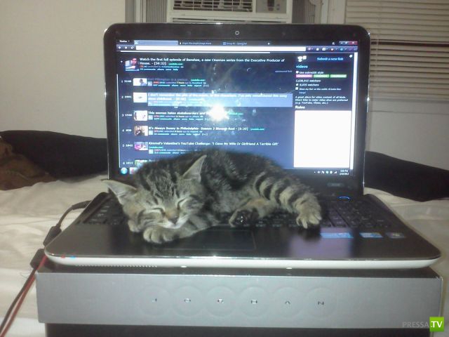 ����� � �������� ��������, ����� 75 (51 ����)