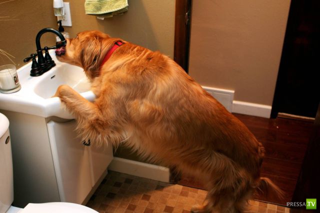 ����� � �������� ��������, ����� 75 (51 ����)