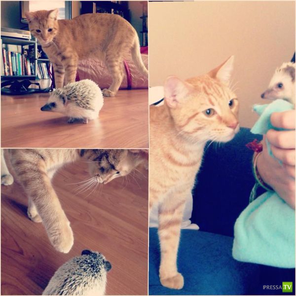 ����� � �������� ��������, ����� 75 (51 ����)