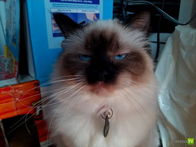 ����� � �������� ��������, ����� 75 (51 ����)