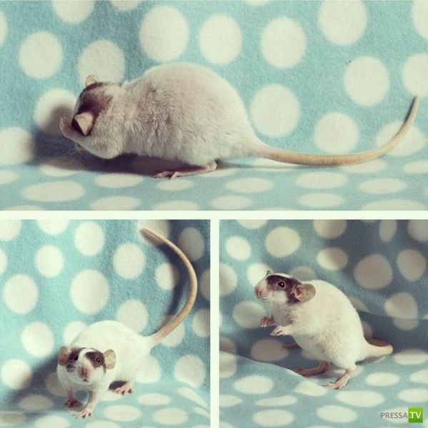 ����� � �������� ��������, ����� 75 (51 ����)