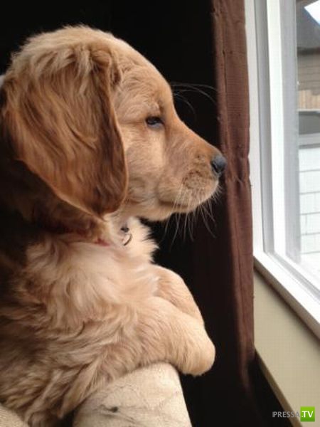 ����� � �������� ��������, ����� 76 (48 ����)