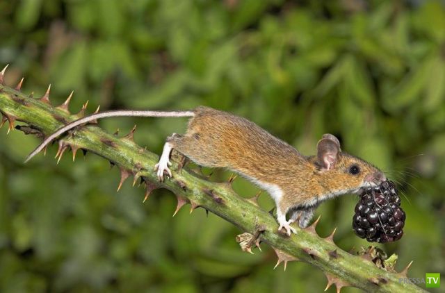 ����� � �������� ��������, ����� 76 (48 ����)