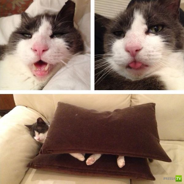 ����� � �������� ��������, ����� 76 (48 ����)