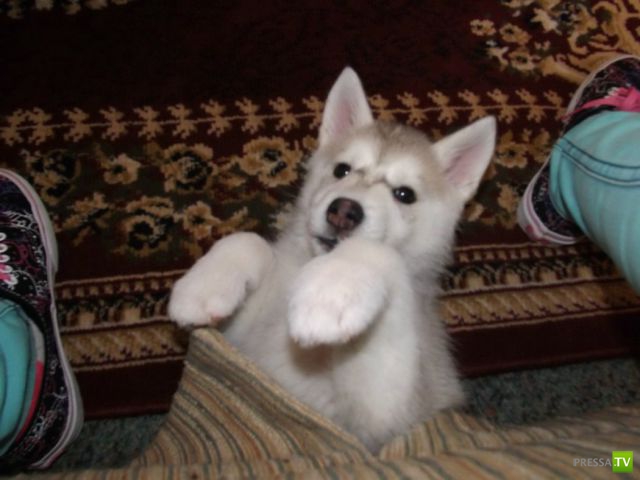 ����� � �������� ��������, ����� 76 (48 ����)