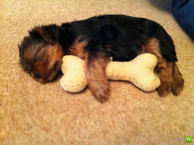 ����� � �������� ��������, ����� 76 (48 ����)