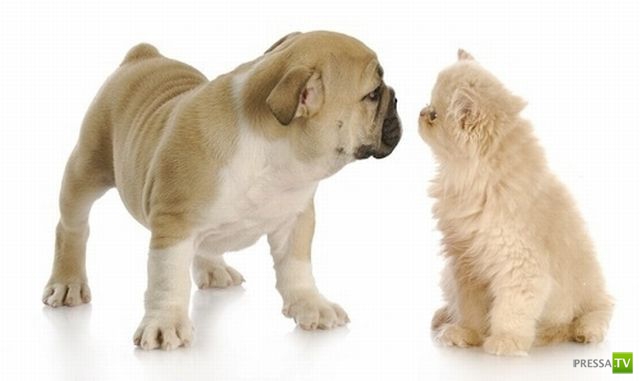 ����� � �������� ��������, ����� 76 (48 ����)