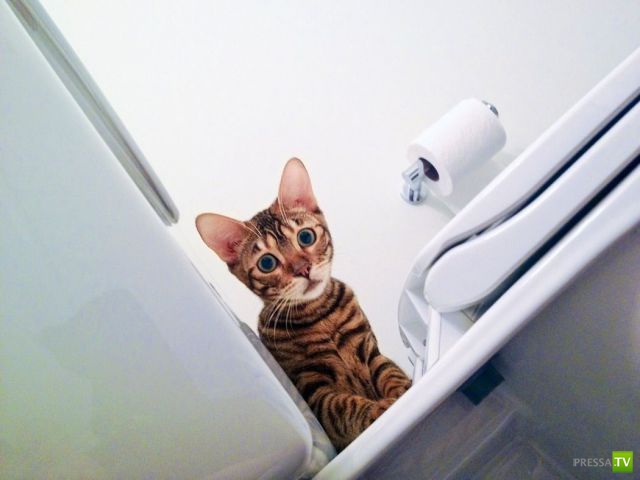 ����� � �������� ��������, ����� 76 (48 ����)