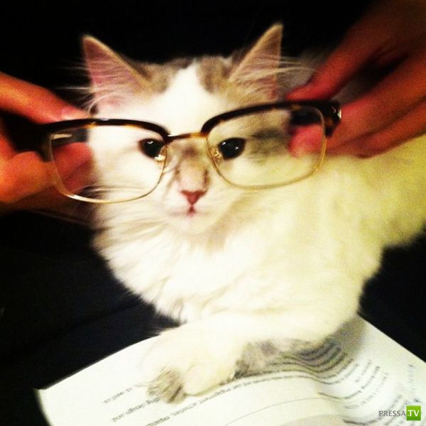 ����� � �������� ��������, ����� 76 (48 ����)