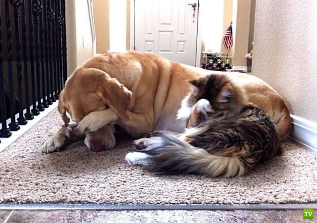 ����� � �������� ��������, ����� 76 (48 ����)