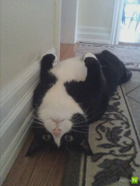 ����� � �������� ��������, ����� 76 (48 ����)