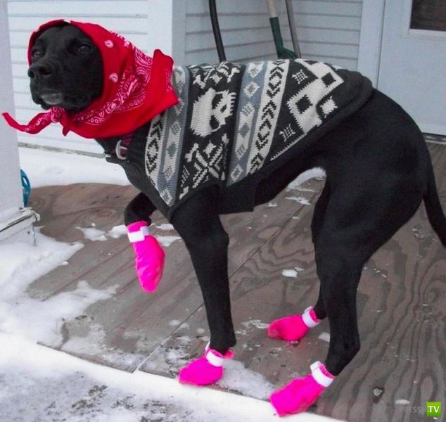 ����� � �������� ��������, ����� 76 (48 ����)