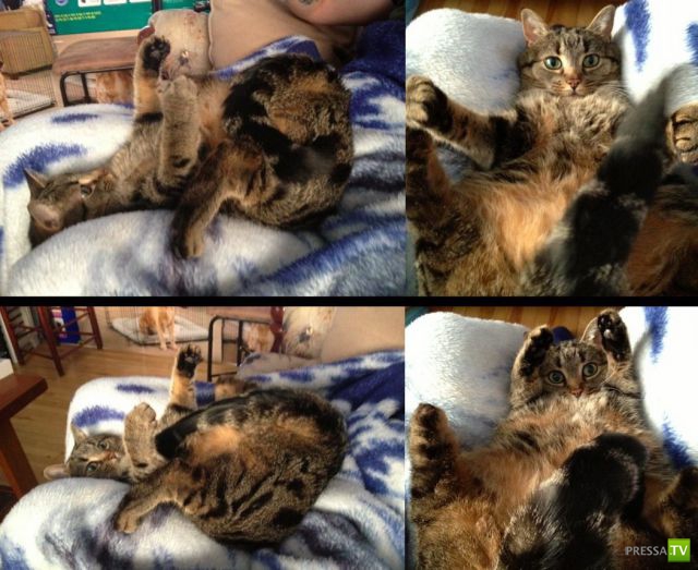 ����� � �������� ��������, ����� 76 (48 ����)