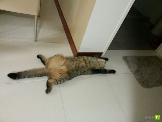 ����� � �������� ��������, ����� 76 (48 ����)