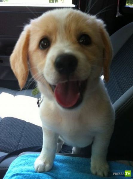 ����� � �������� ��������, ����� 76 (48 ����)