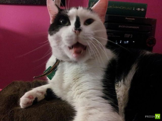 ����� � �������� ��������, ����� 76 (48 ����)