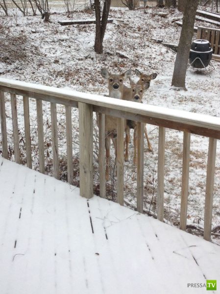 ����� � �������� ��������, ����� 76 (48 ����)