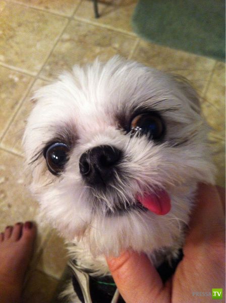 ����� � �������� ��������, ����� 76 (48 ����)