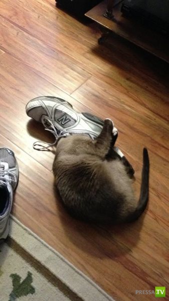 ����� � �������� ��������, ����� 76 (48 ����)