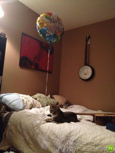 ����� � �������� ��������, ����� 76 (48 ����)