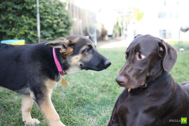 ����� � �������� ��������, ����� 76 (48 ����)