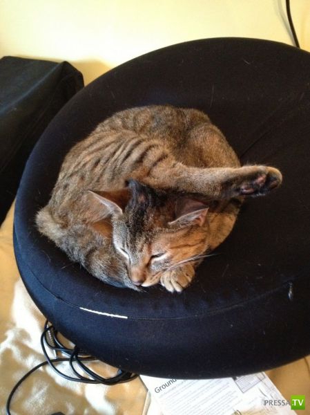 ����� � �������� ��������, ����� 76 (48 ����)