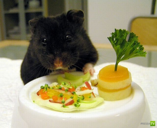 ����� � �������� ��������, ����� 76 (48 ����)