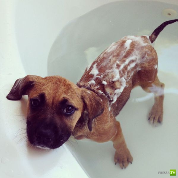 ����� � �������� ��������, ����� 76 (48 ����)