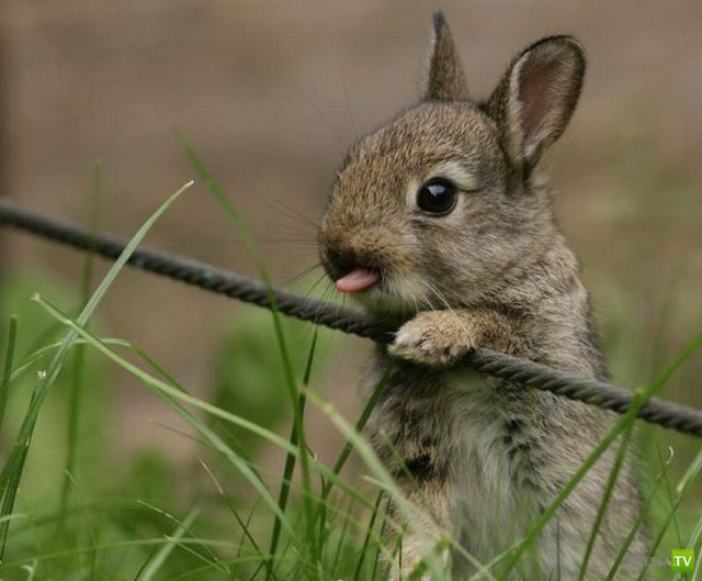 ����� � �������� ��������, ����� 76 (48 ����)