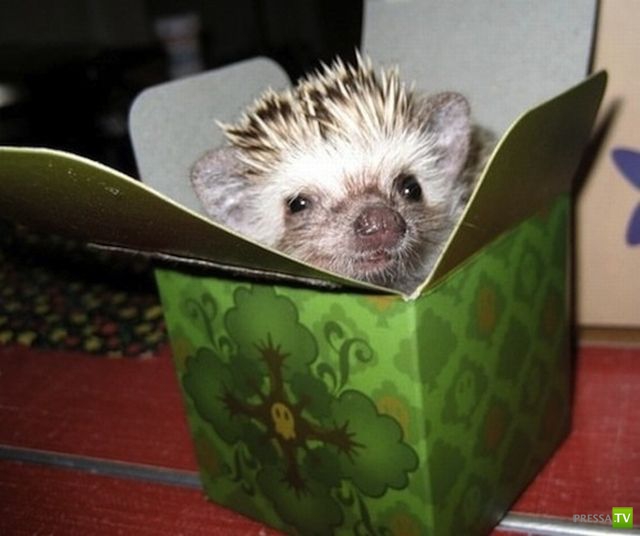 ����� � �������� ��������, ����� 76 (48 ����)