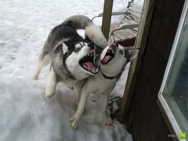 ����� � �������� ��������, ����� 76 (48 ����)