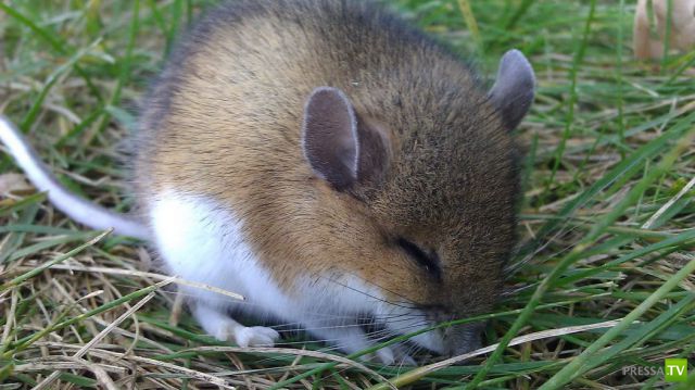 ����� � �������� ��������, ����� 76 (48 ����)