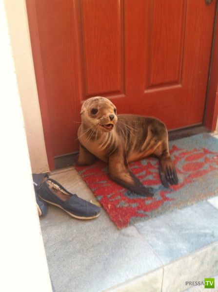 ����� � �������� ��������, ����� 76 (48 ����)