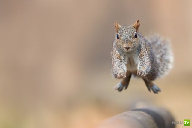 ����� � �������� ��������, ����� 76 (48 ����)