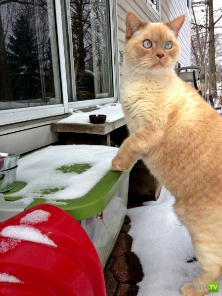 �������� ��������, ����� 1 (44 ����)