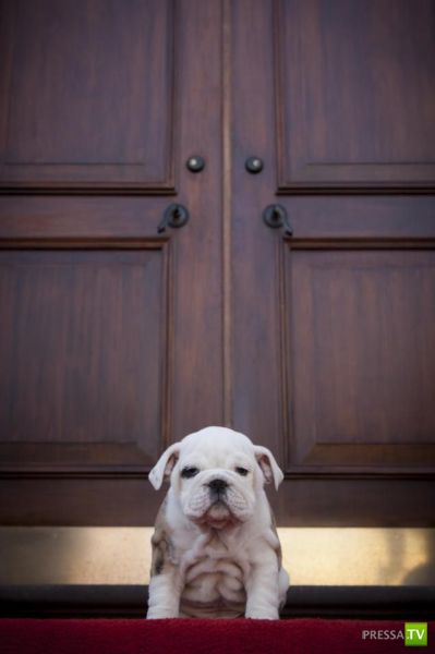 �������� ��������, ����� 1 (44 ����)