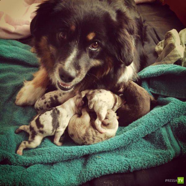 �������� ��������, ����� 1 (44 ����)