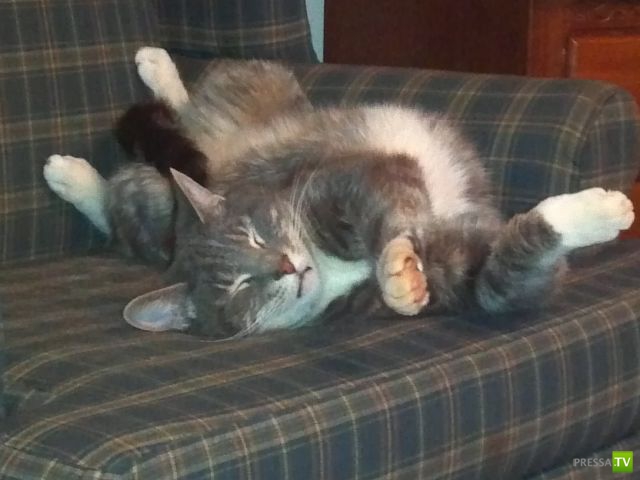 �������� ��������, ����� 1 (44 ����)