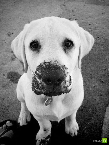 �������� ��������, ����� 1 (44 ����)