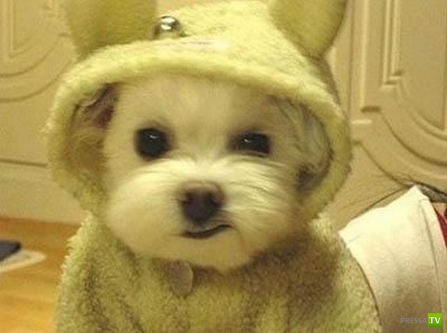 �������� ��������, ����� 1 (44 ����)