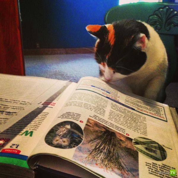 �������� ��������, ����� 1 (44 ����)