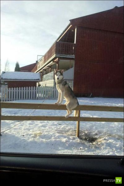 �������� ��������, ����� 1 (44 ����)