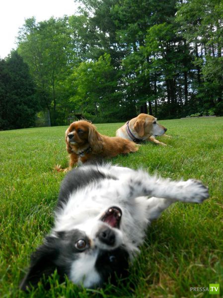 �������� ��������, ����� 1 (44 ����)