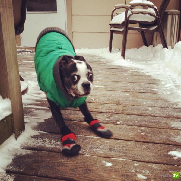 �������� ��������, ����� 1 (44 ����)