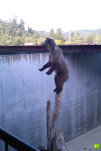 �������� ��������, ����� 1 (44 ����)