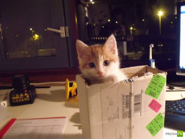 �������� ��������, ����� 2 (48 ����)